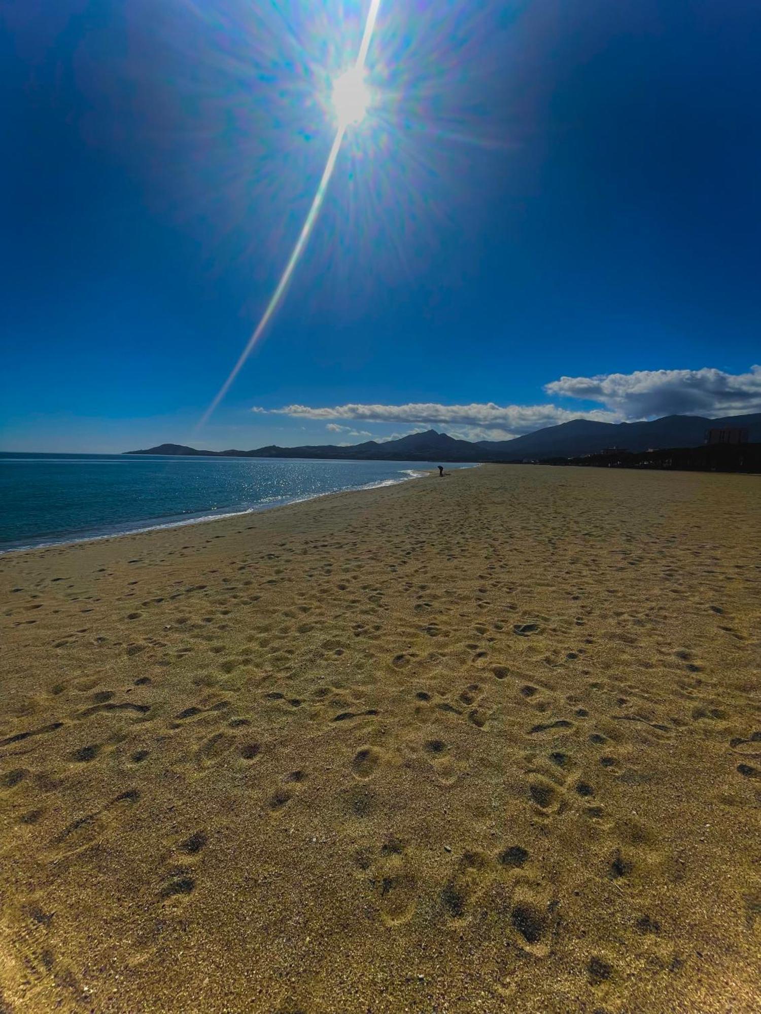 Appart Clim , Wifi, Plage 200 Metres Argelès-sur-Mer Dış mekan fotoğraf