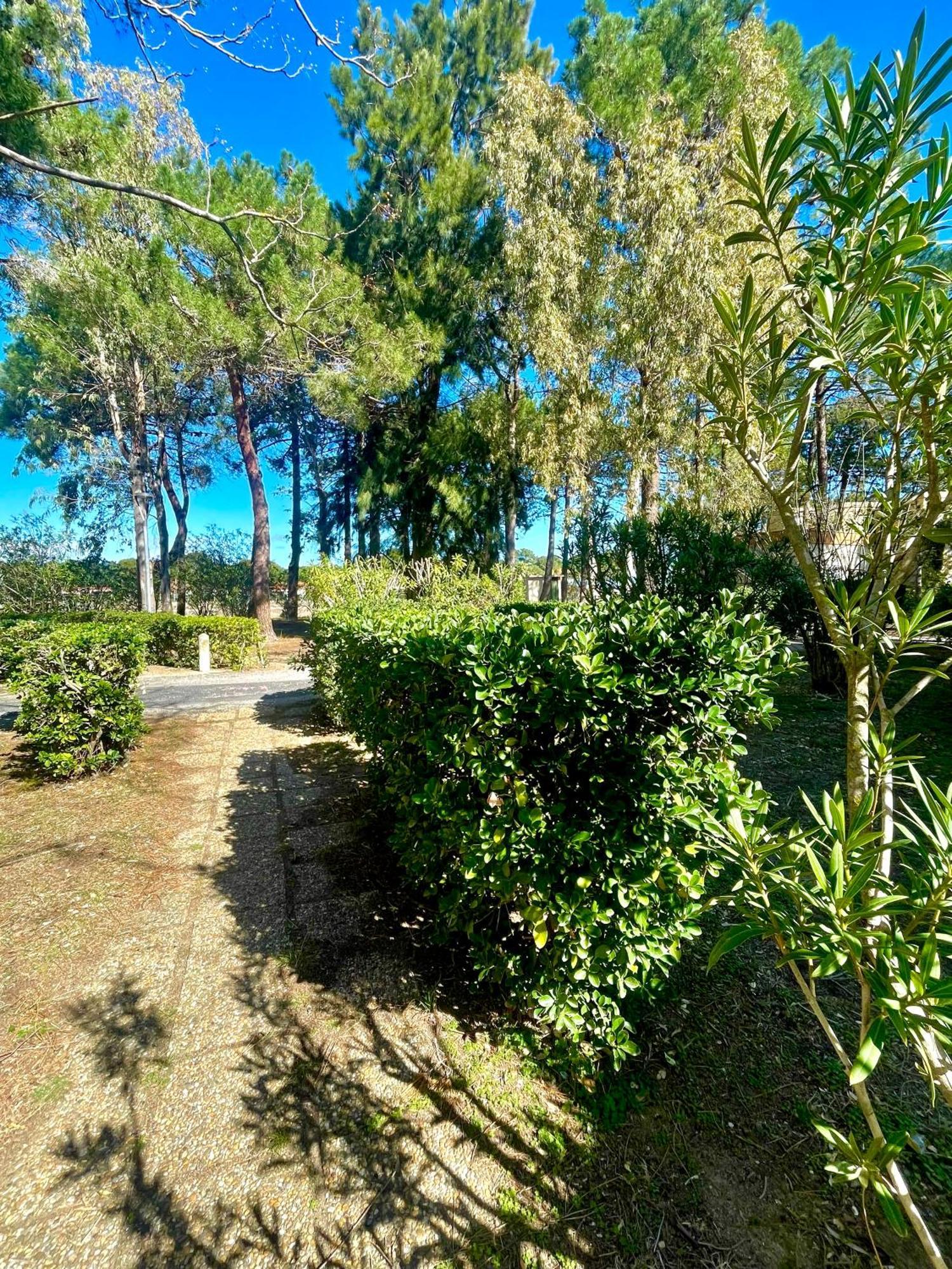 Appart Clim , Wifi, Plage 200 Metres Argelès-sur-Mer Dış mekan fotoğraf